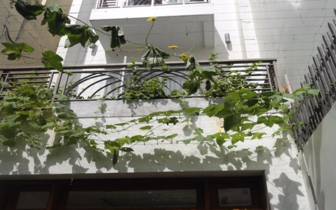 Bán nhà mới 100%, 2,9 tỷ, Trường Chinh, Tân Bình