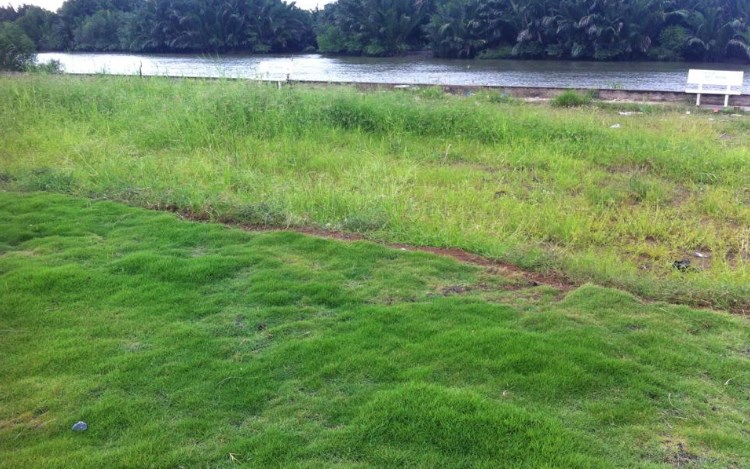 Bán đất nền giá rẻ gần KDC Trung Sơn, giá 9.5tr/m2